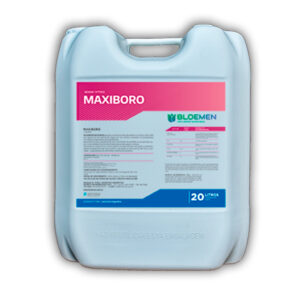 maxiboro