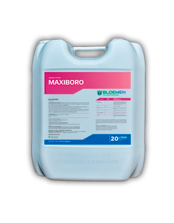 maxiboro