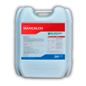 maxicalcio